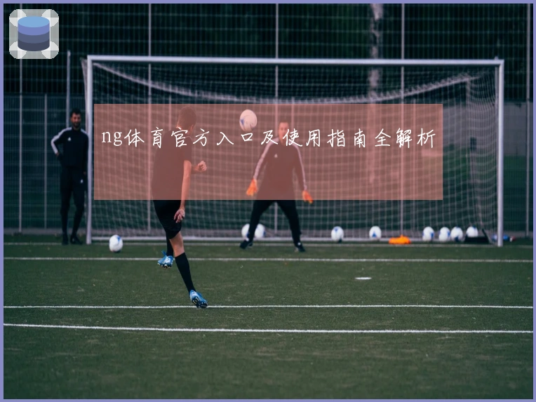 ng体育官方入口及使用指南全解析