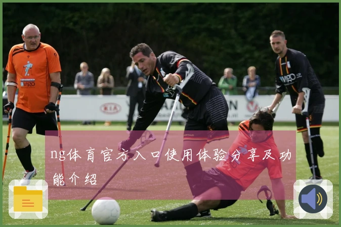 ng体育官方入口使用体验分享及功能介绍