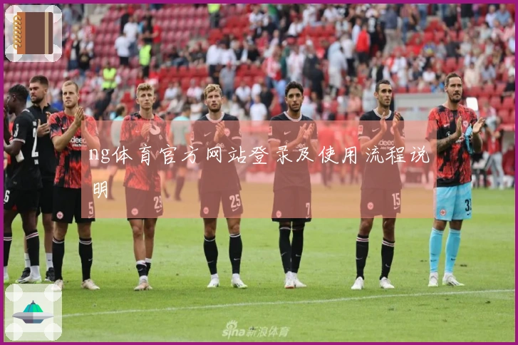 ng体育官方网站登录及使用流程说明
