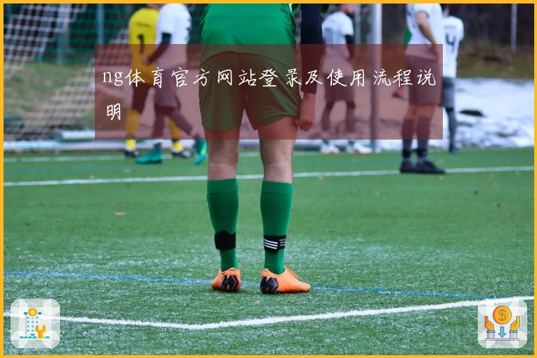 ng体育官方网站登录及使用流程说明