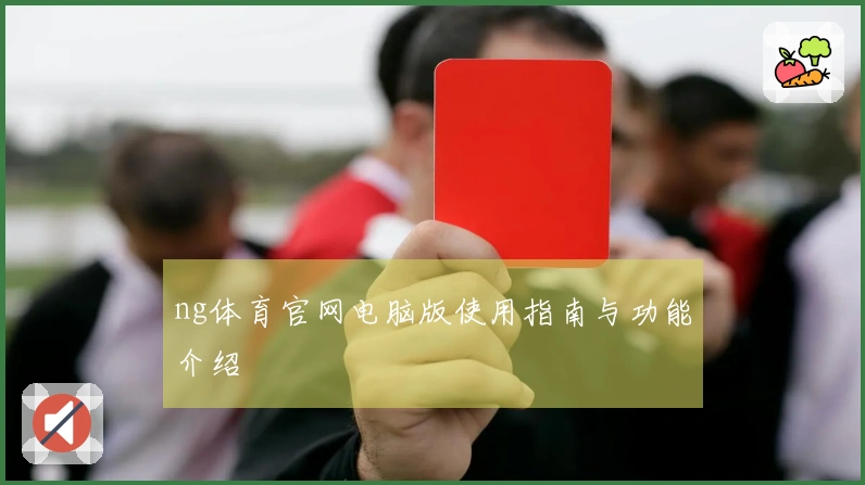 ng体育官网电脑版使用指南与功能介绍