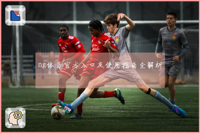 ng体育官方入口及使用指南全解析