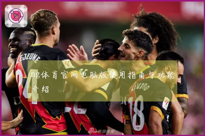 ng体育官网电脑版使用指南与功能介绍